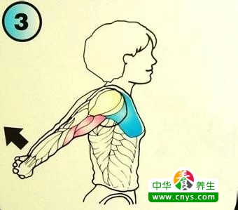 推荐几个简单的肌肉拉伸动作 让你保持好身材
